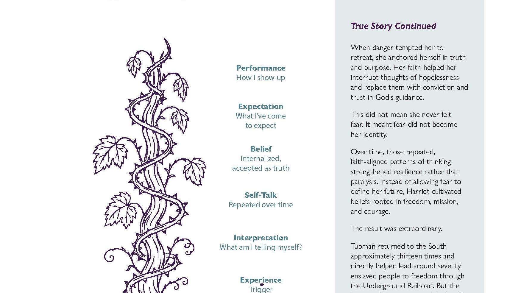The Reinforcement Spiral, a thorned vine illustration mapping experience to belief to performance